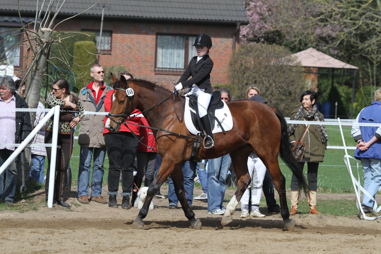 Bild 909 - WBO-Turnier am 9.4.11